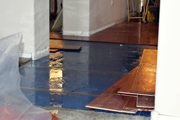 Professional Basement Flood Cleanup technician working in Peshastin, WA
